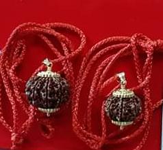 Rudra Pooja Rudraksha